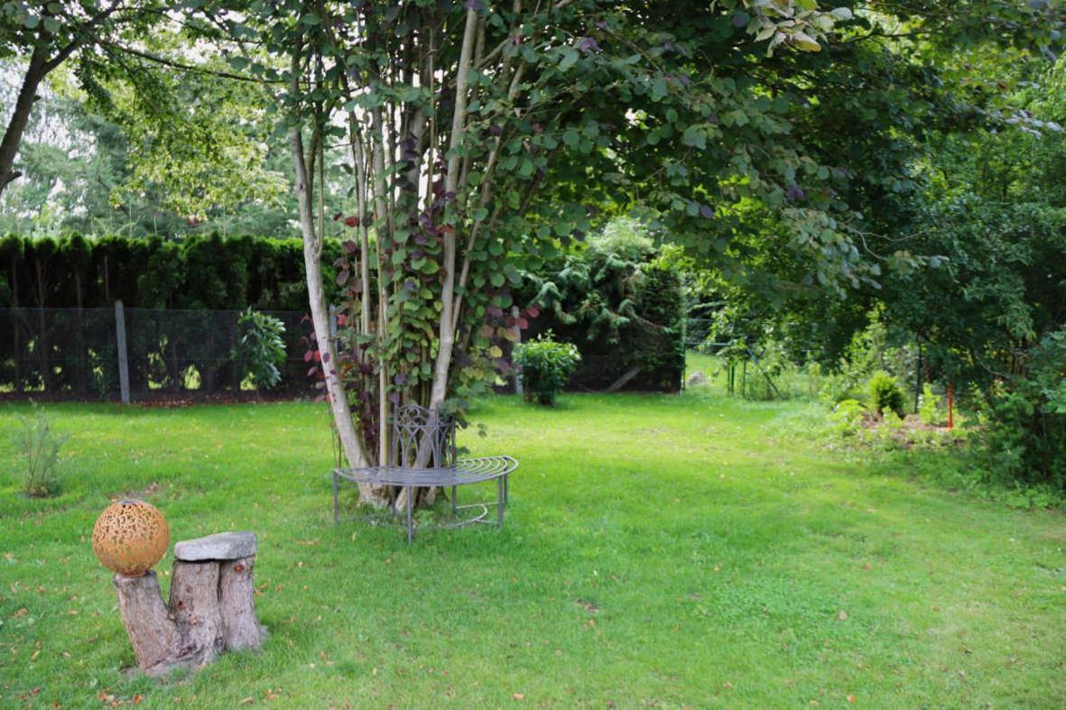 Ferienhaus An Der Wiese Luhmannsdorf Extérieur photo